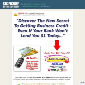 Six Figure Business Credit – 60% Commissions, High Conversions