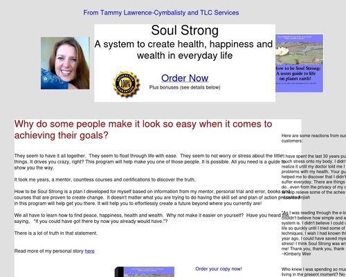 How To Be Soul Strong:  A users guide to life on planet earth