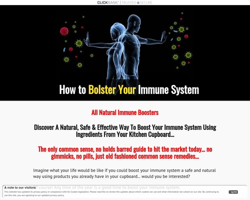 How to Bolster Your Immune System