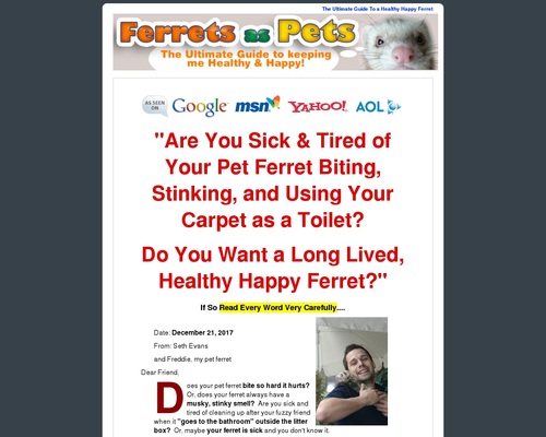 Best Ferret Affiliate Program Converts 1 In 18 Hops w/ CHEAP TRAFFIC