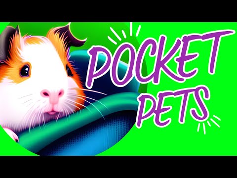 Top 10 Best Small Furry Pets – Pocket Pets