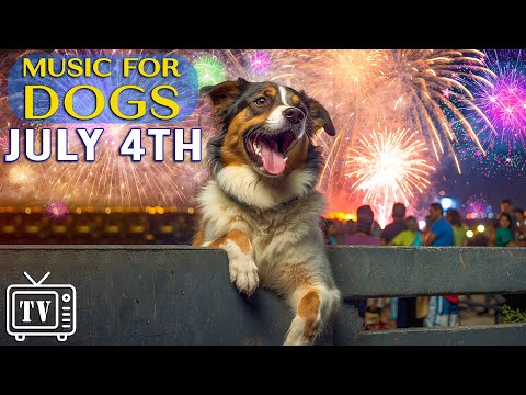 [LIVE] Dog TV: July 4th – Anti Anxiety Music for Dogs to calm from Fireworks, Bangs and Loud Noises