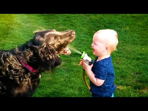 20 Minutes of HILARIOUS Babies Laughing With Pets 😹 | Kids and Animals 💕